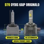 d1s-led-xenon-lemputes-dydzio-palyginimas.jpg