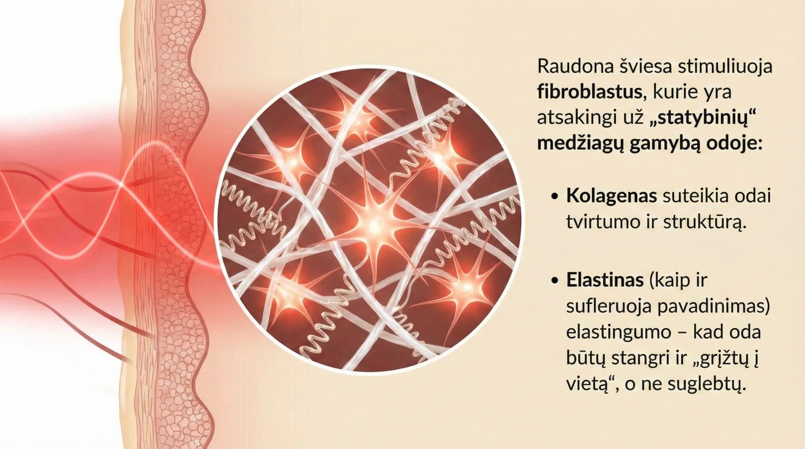 Odos transformacijos eiga ir rezultatai naudojant raudonos šviesos terapijos kaukę